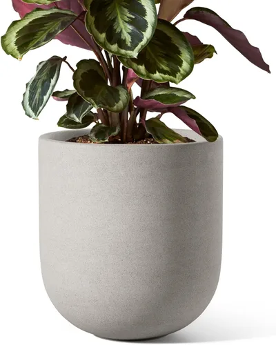 Vista 12 de LE TAUCI Maceta para plantas de 10 pulgadas, macetas de cerámica para plantas con orificio de drenaje y tapón de goma, macetas para plantas