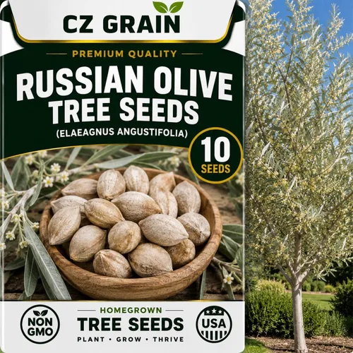 Vista 30 de CZ Grain Semillas para plantar, 40 pequeñas mezclas de calabaza