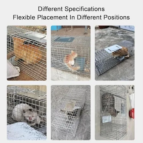 Vista 7 de Jaula de trampa animal humana galvanizada plegable para gatos mapaches ardillas
