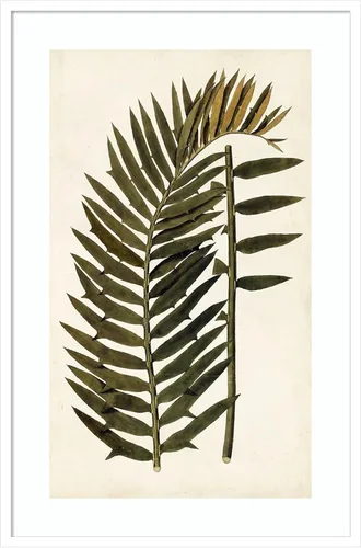 Vista 6 de Amanti Art Vision Studio - Lienzo decorativo para pared, 24 x 17 pulgadas, variedades de hojas VIII, arte de pared de naturaleza, decoración