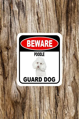 Vista 99 de BEWARE BASSETT HOUND GUARD DOG - Letrero compuesto de aluminio para exteriores, 8.5 x 10 pulgadas CUIDADO BASSETT HOUND GUARD PERRO