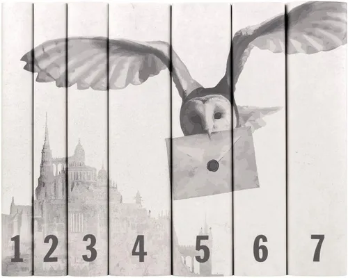 Vista 4 de Juniper Books - Serie Harry Potter - Castillo y búho - Fundas de libro para libros de Harry Potter de tapa dura, no incluidos