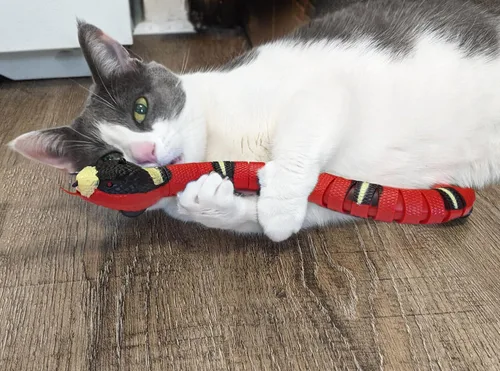 Vista 7 de SPOT Wigglin' Snake - Juguete electrónico interactivo para gatos, deslizadores y deslizadores de serpiente activados por tacto para entretener a