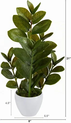 Vista 2 de Nearly Natural Planta ZZ de 22 pulgadas, planta artificial Zamioculcas en maceta blanca
