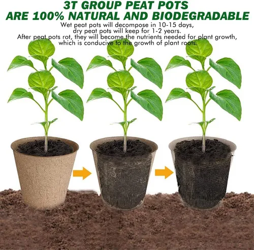 Vista 2 de 3T GROUP 50 macetas de turba de 3.15 pulgadas, macetas compostables, macetas de jardín biodegradables con etiquetas para verduras, frutas