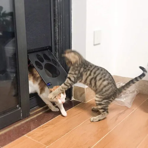 Vista 7 de Puerta mosquitera para perro, puerta de gato de 8 x 10.2 pulgadas para ventana, cierre magnético, puerta pequeña con cerradura de doble cara