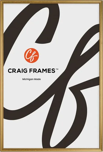 Vista 12 de Marco para fotografías decorativo con acabado ornado, color dorado, de Craig Frames