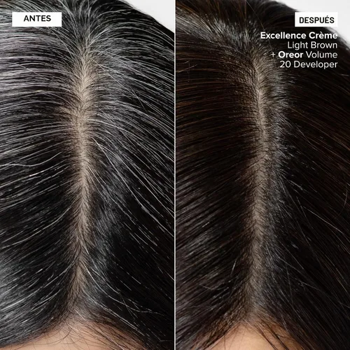 Vista 2 de L'Oréal Technique Excellence Crème Hair