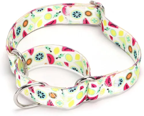 Vista 46 de Collar de perro de nailon resistente, collar ajustable de martingala para perros para caminar y entrenamiento para perros machos y hembras perros