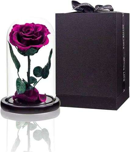 Vista 15 de Rosas preservadas, rosas negras en cúpula de cristal, medianas, flores preservadas para el día de la madre, regalos para mujeres Negro