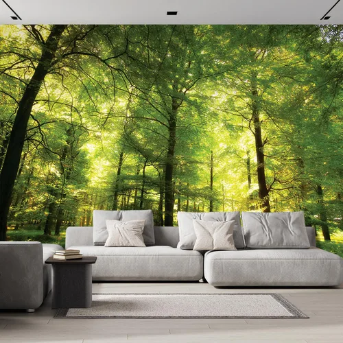 Vista 53 de wall26 Mural de pared extraíble mural de pared cascada escénica luz del sol río bosque naturaleza vida silvestre fotografía realismo paisaje rústico