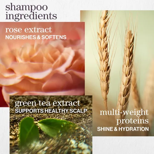 Vista 7 de Pureology Kit de Champú y Acondicionador Hidratante - Para Cabello Seco, Medio a Grueso y Teñido, Suaviza y Hidrata Profunda, Sin Sulfatos