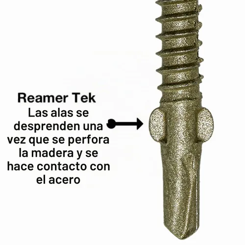 Vista 6 de Tornillos autoperforantes Reamer Tek Torx/Star Head de 10x1-5/8 de madera a metal - para plataformas, remolques - Cabeza de tornillo T-30 Torx 1