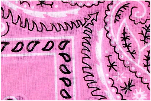 Vista 4 de OCD Bargain Bandana 100 Cotton Versatile Large Paisley Bandanas in Pack of 5 Multi