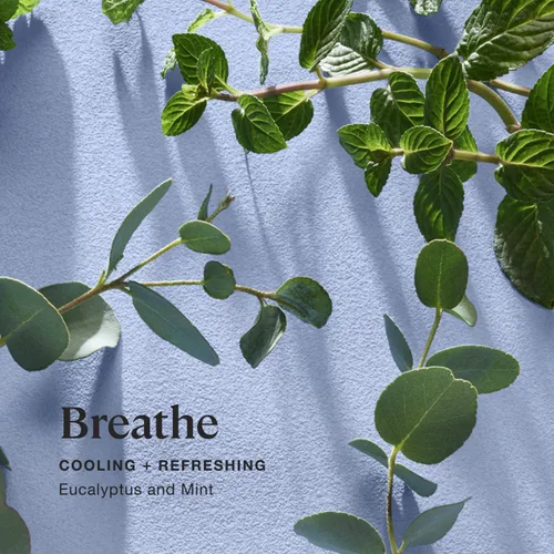 Vista 2 de Sprig by Kohler Bomba de baño de eucalipto + menta, botánicos naturales e ingredientes de primera calidad para el cuidado de la piel