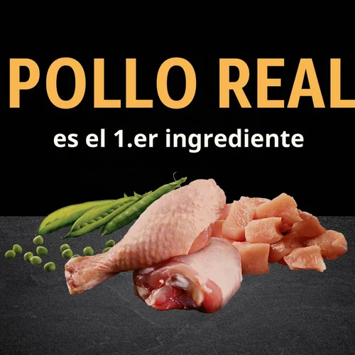 Vista 3 de CRAVE Alimento seco natural para gatos adultos con alto contenido