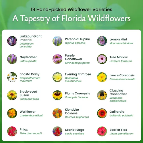 Vista 3 de Mezcla de semillas de flores silvestres de Florida: más de 35,000 semillas