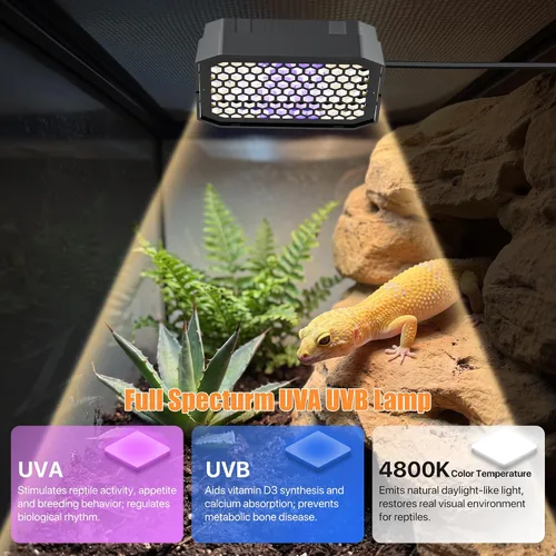 Vista 8 de Luz de reptil LED UVB regulable con temporizador automático, 4.3