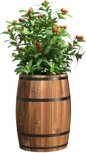 Vista 8 de HM&DX Macetas redondas de madera con orificios de drenaje, macetas rústicas de madera con agujeros de drenaje, macetas de whisky para jardín