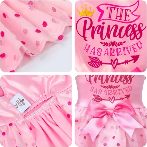 Vista 2 de CuteBone Vestido de cumpleaños para niña, ropa de princesa, disfraz de gato, ropa para perros pequeños, traje para mascotas, DD20XXS La princesa ha