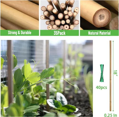 Vista 3 de 35 piezas de estacas para plantas, estacas de jardín de bambú natural premium, varillas de bambú de soporte para plantas de interior y exterior