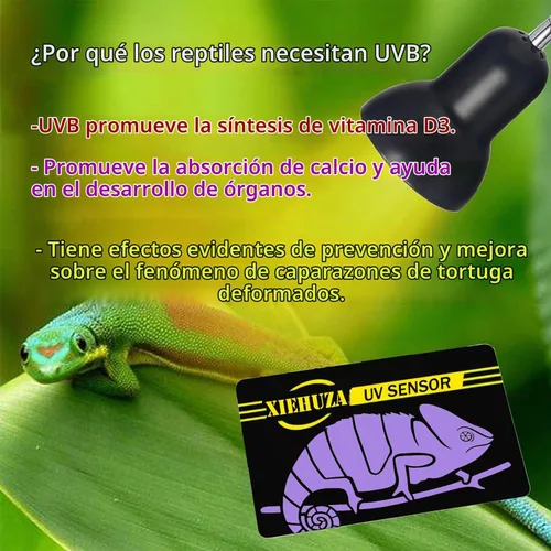Vista 4 de Paquete de 5 tarjetas de sensor de prueba UVB rápido, reutilizables, probador UVB para reptiles