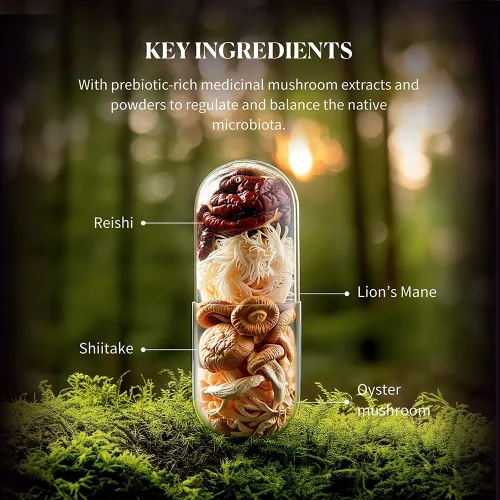 Vista 7 de Hifas Microbiota - Suplemento orgánico de complejo de hongos con melena de león, reishi y shiitake - Prebiótico de apoyo digestivo y salud