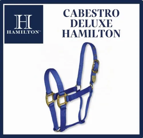 Vista 4 de Hamilton Caballo de nailon de 1 pulgada, tamaño pequeño (500-800 libras), azul baya
