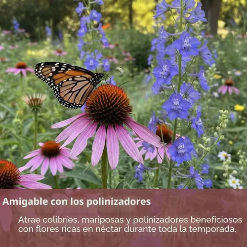 Vista 7 de Mix de semillas de flores silvestres para mariposas y colibríes – Más de 30.000 semillas – Paquete extra grande a granel resellable de 1 oz