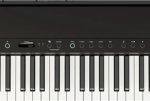 Vista 5 de Roland FP-40 Piano digital de 88 teclas - Negro FP-40 Negro