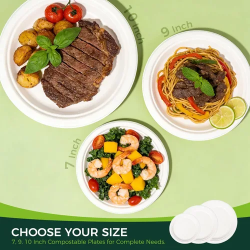 Vista 4 de Platos 100% compostables, 125 platos desechables de alta resistencia de 10 pulgadas hechos de bagazo, ecológicos y sostenibles