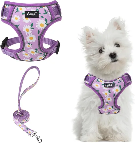 Vista 37 de PUPTECK Juego de arnés y correa para perro pequeño, arnés ajustable sin tirones para cachorro, chaleco de malla suave reflectante para mascotas
