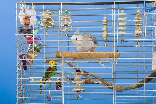Vista 5 de BWOGUE Paquete de 7 juguetes para loros de pájaros, juguetes de madera natural para masticar, escalar, colgar y hamaca para periquitos pequeños
