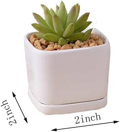 Vista 3 de Sea Star - Maceta moderna rectangular minimalista de cerámica blanca de 10 pulgadas para plantas suculentas para oficinas, escritorios, ventanas