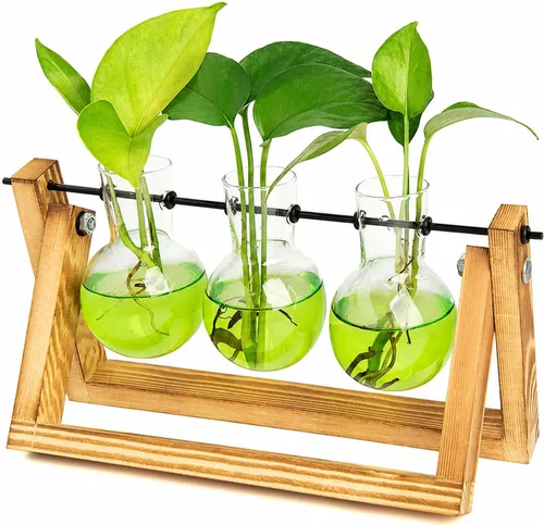 Vista 11 de XXXFLOWER Kit de terrario para plantas con soporte de madera, 3 jarrones de Azul