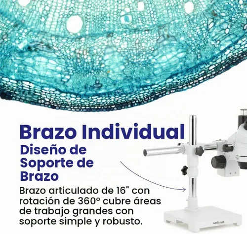 Vista 4 de AmScope SM-3T microscopio estéreo trinocular profesional con zoom estereoscópico SM-3T con control simultáneo de enfoque, oculares WH10x, aumento