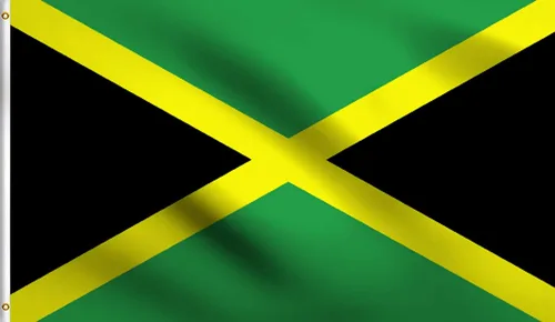 Vista 124 de DMSE - Bandera nacional beninesa beninesa de la República de África Occidental, 2 x 3 pies, 100 % poliéster, 100 % poliéster, resistente a los rayos