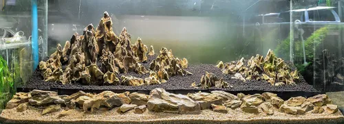 Vista 6 de Acuario Ohko Dragon Stone Rock Tamaños Mixtos