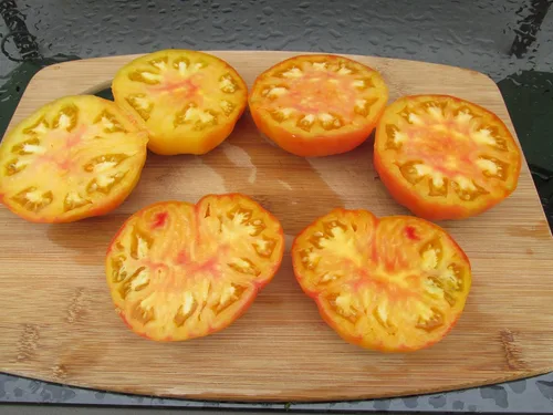 Vista 2 de Semillas de tomate Hillbilly Heirloom - Más de 30 semillas