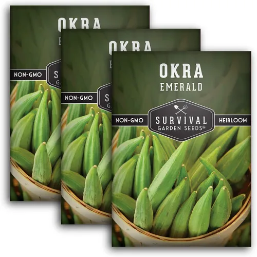 Vista 11 de Survival Garden Seeds - Semilla de okra esmeralda para plantar - Paquete con instrucciones para plantar y cultivar Okra tierna y grande en tu huerto
