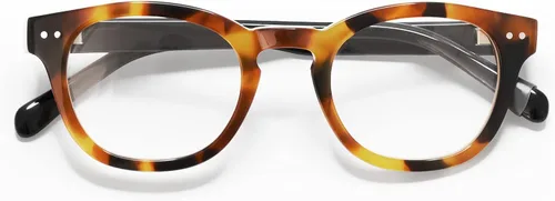 Vista 2 de Waylaid Average Color 21 - Tortoise Front with Black Temples