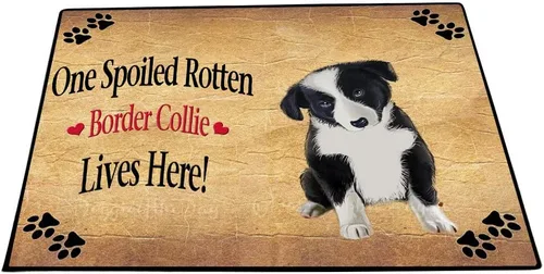 Vista 10 de Doggie of the Day Border Collie Dogs Floor Mat - 4th of July Independence Day - Best Dog Doormat - Protector Decor - Unique Portrait Art - Premium