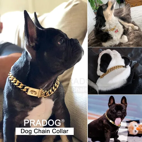 Vista 4 de PRADOG Collar de cadena dorada para perro, collar de cadena de eslabones cubanos con hebilla de diseño seguro, collar de metal de acero inoxidable