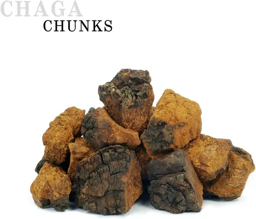 Vista 3 de Trozos enteros de hongos chaga siberianos cosechados salvajes 12 onzas (11.99 oz.)