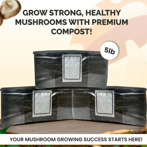 Vista 4 de MycoHaus Compost para cultivo de hongos Sustrato esterilizado para hongos Suelo orgánico de hongos Suministros de cultivo para el hogar 5