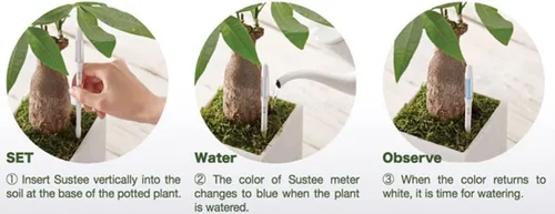 Vista 2 de Sustee Aquameter (2 verdes, medianos) - Medidor de humedad del suelo de plantas, monitor, sonda, indicador - Lo mejor para plantas en maceta