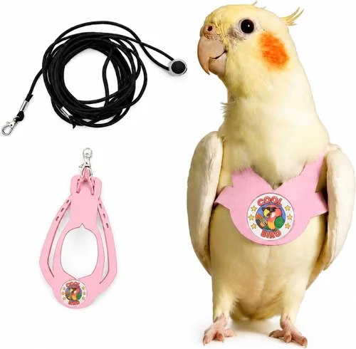 Vista 7 de Juego de arnés ajustable y correa para pájaros pequeños, apto para periquitos, conures, cacatúas, mejillas verdes, loros cuáqueros (verde, XS) 6350-6