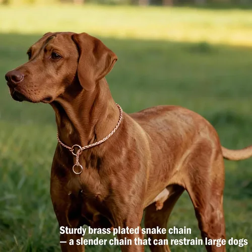 Vista 5 de Collar de Perro de Alta Resistencia, Collar de Perro Deslizante con Eslabones de Serpiente, Antióxido, 39.4cm-74.9cm, Negro/Oro/Plata/Oro Rosa