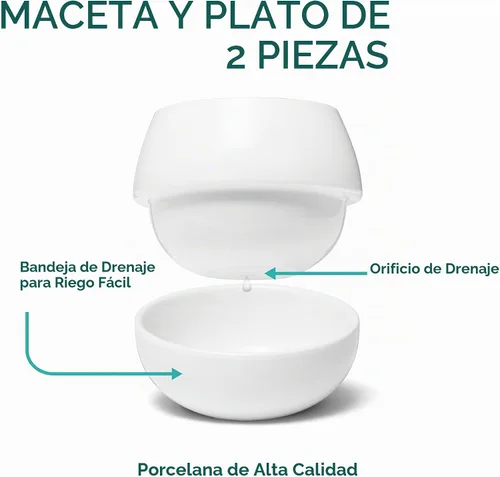 Vista 2 de Willowy Macetas pequeñas para suculentas de 3.5 pulgadas, paquete de 3, macetas pequeñas de cerámica blanca para suculentas, no incluye plantas