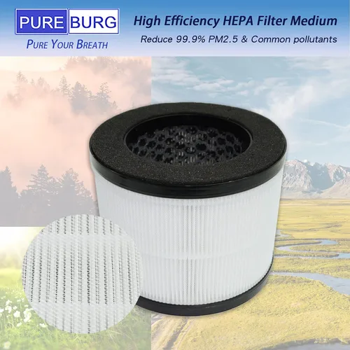 Vista 5 de PUREBURG Filtro de repuesto compatible con el purificador de aire Okaysou Airmic4S, paquete de 2 compuestos orgánicos volátiles H13 HEPA de 4 etapas